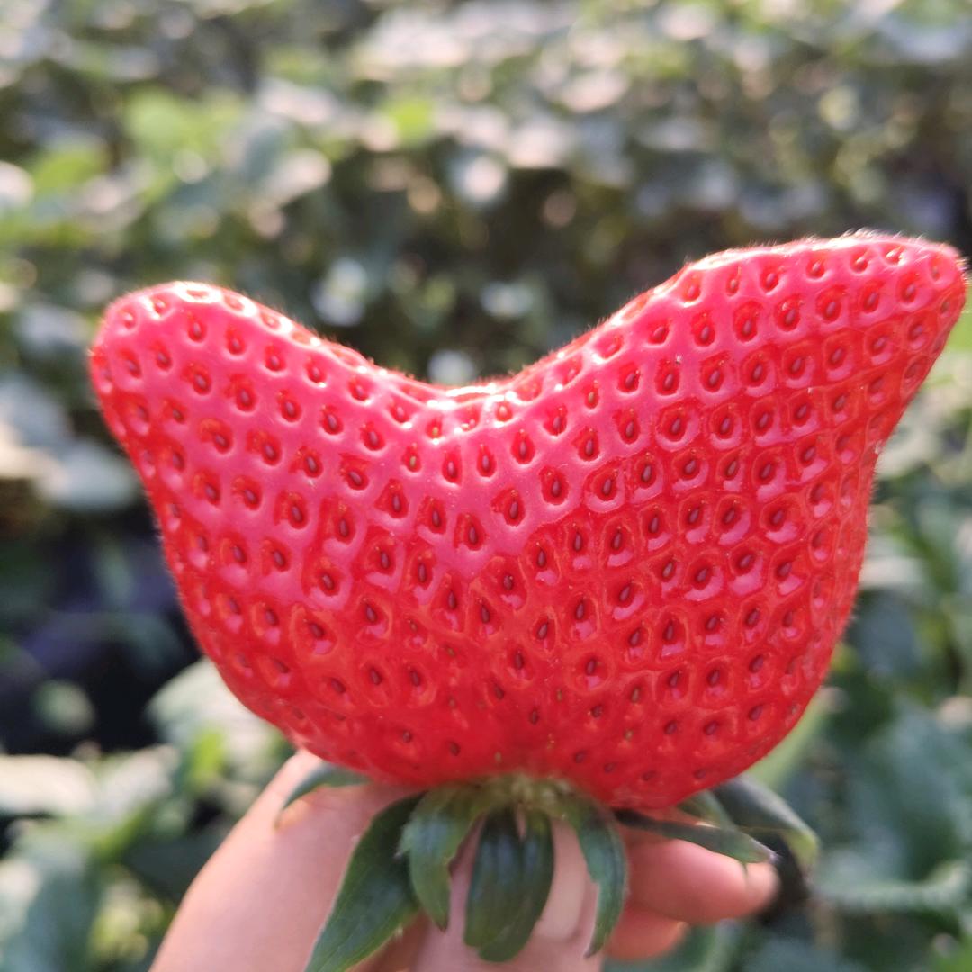 改变不了别人，那就改变自己吧