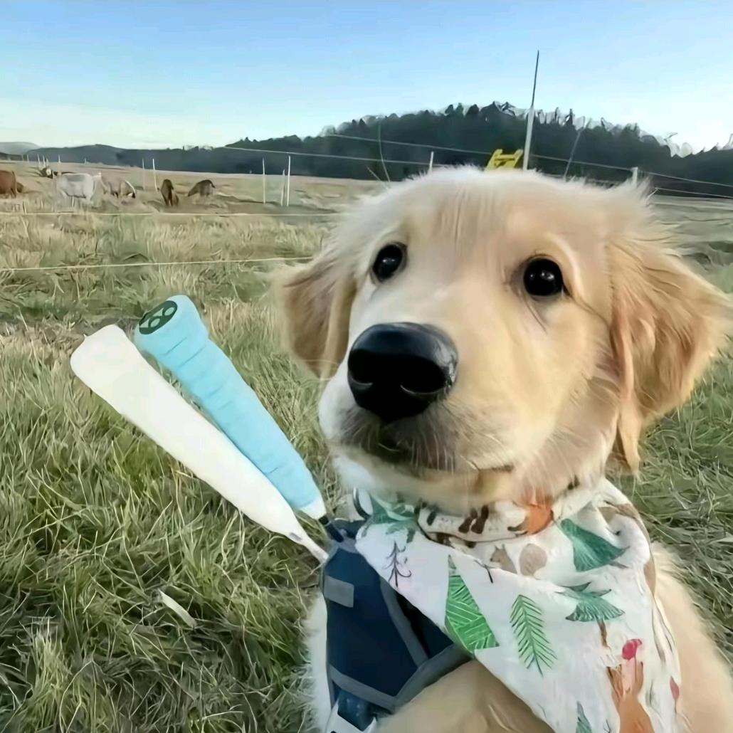 和平精英地铁逃生(牧云)