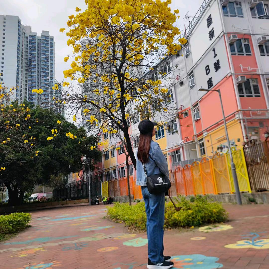 忘忧草👉ying