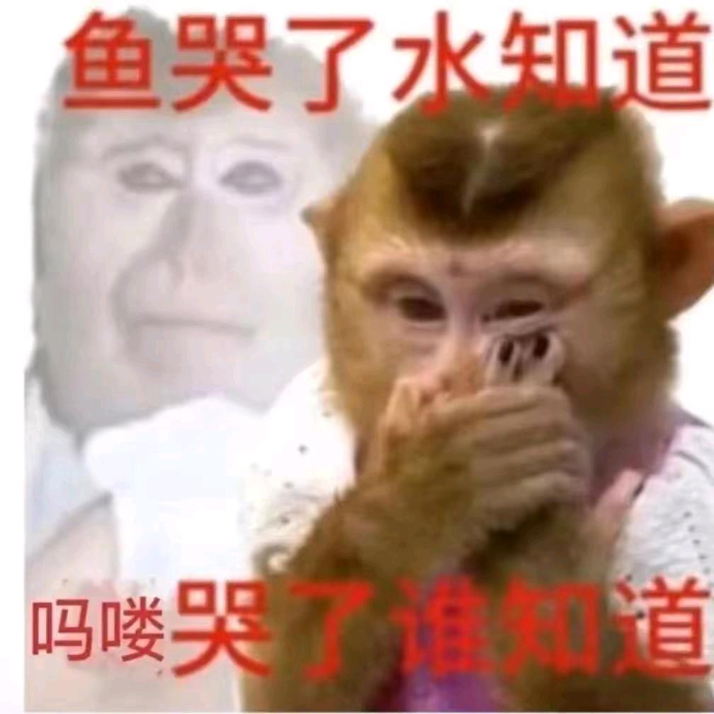 短期目标等放假