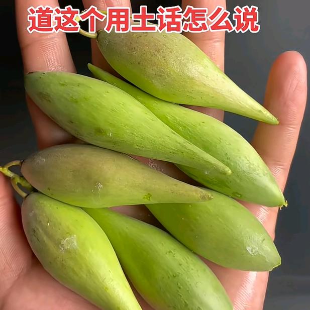 小黑蛋🎤开心大叔（平常心）