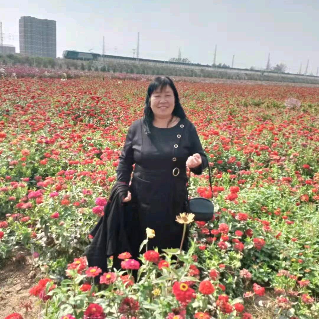 问心无魂