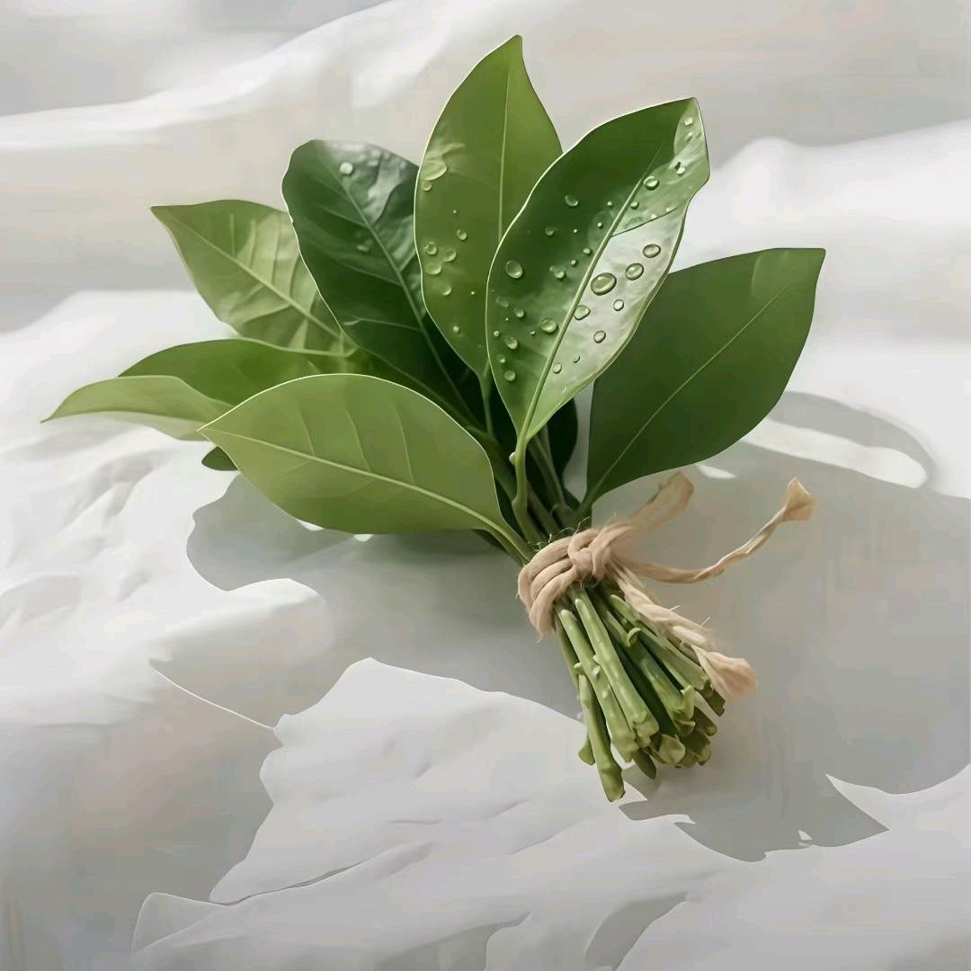 噜啦啦