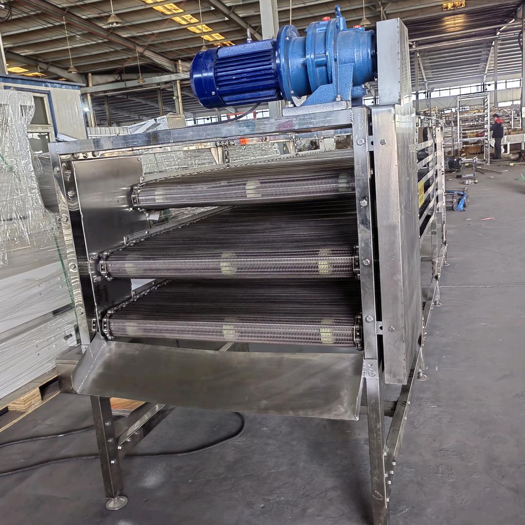 网带 链板 输送机械