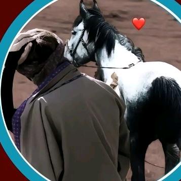 ╭☞( 扎 ▽西)╭☞