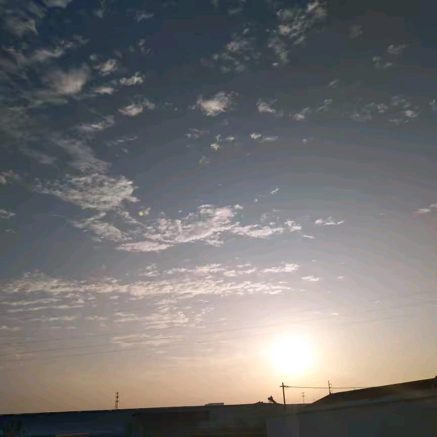 梦动风无锁魏直播号