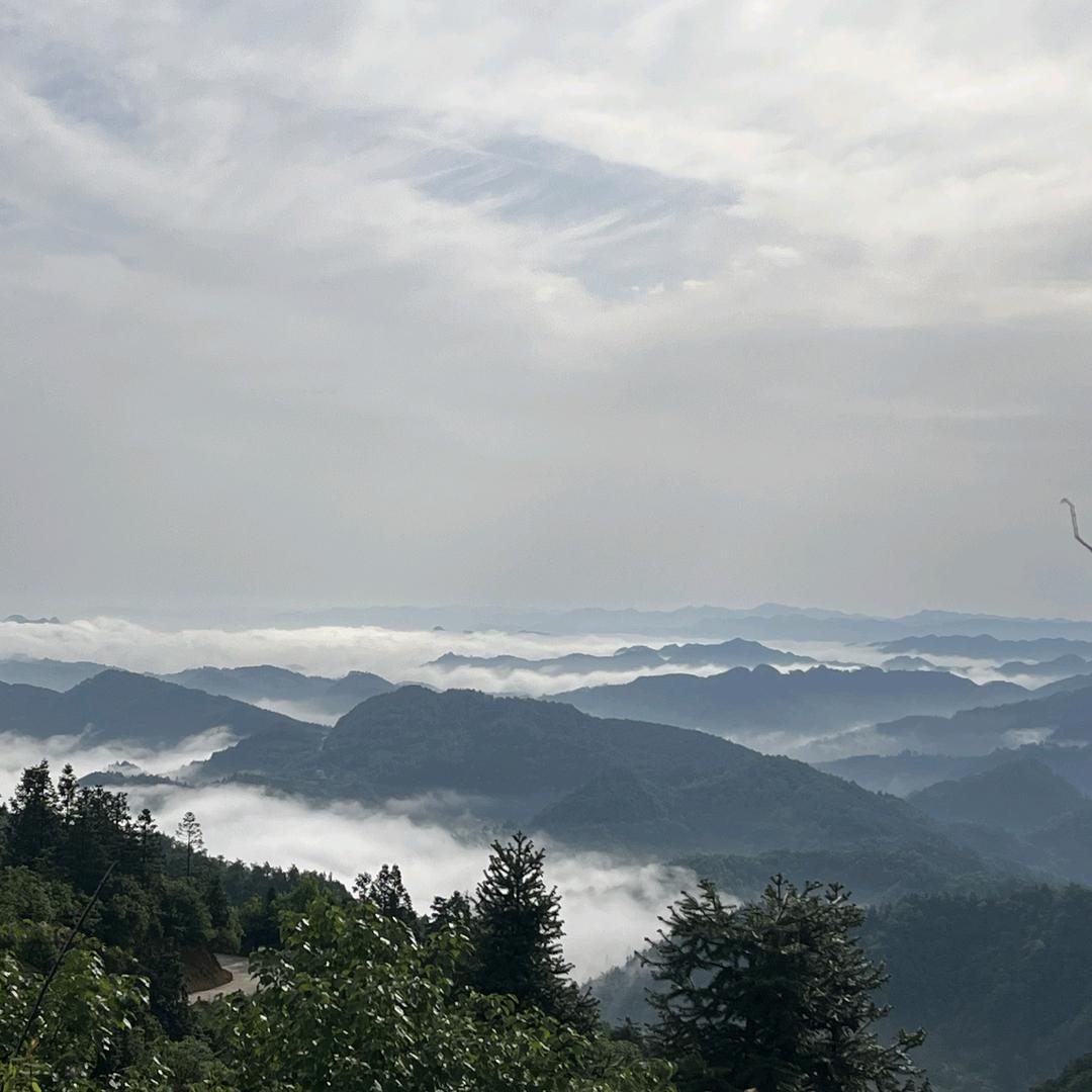 真情难收