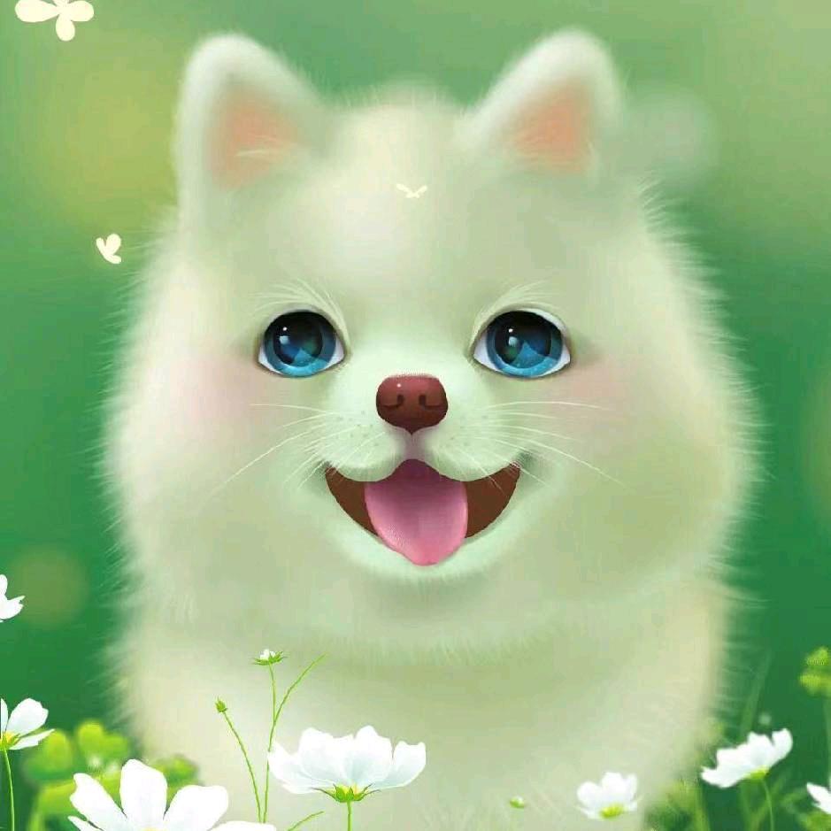 项城李寨薛探宇