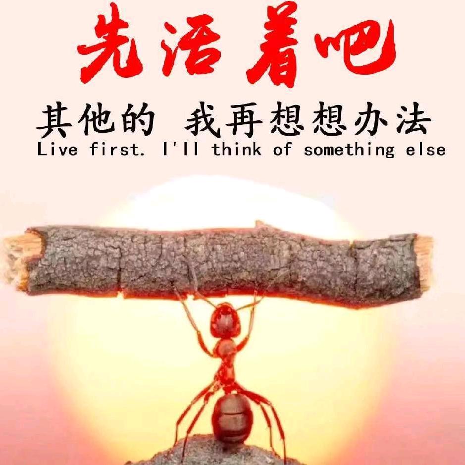 有所为有所不为