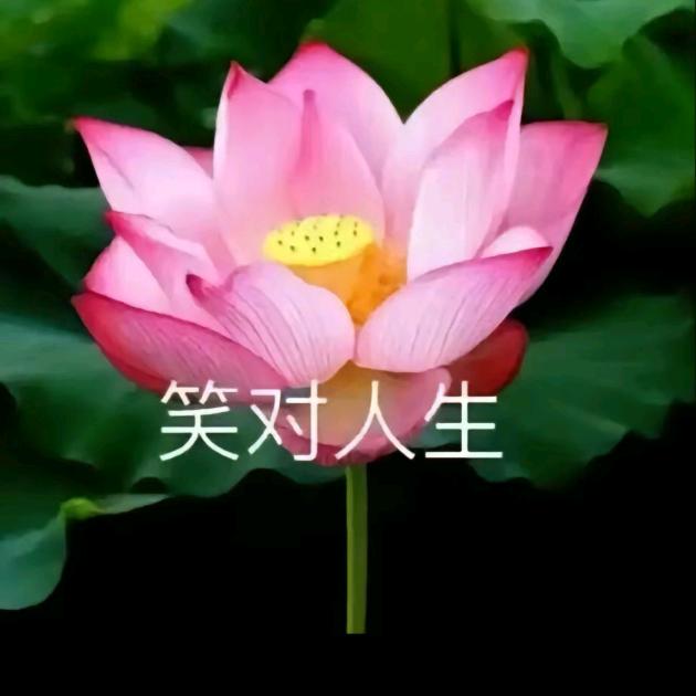 花开富贵，幸福一生