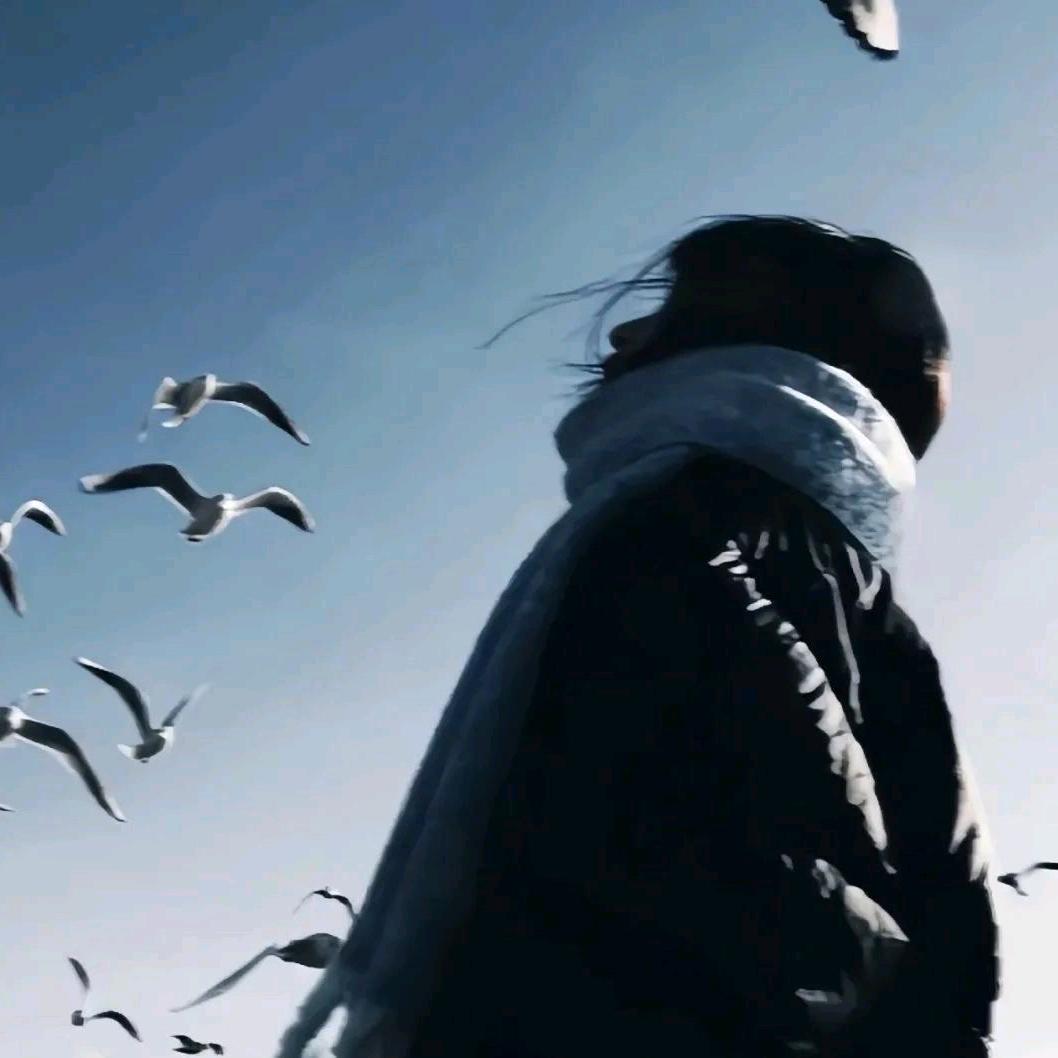 镜子Li