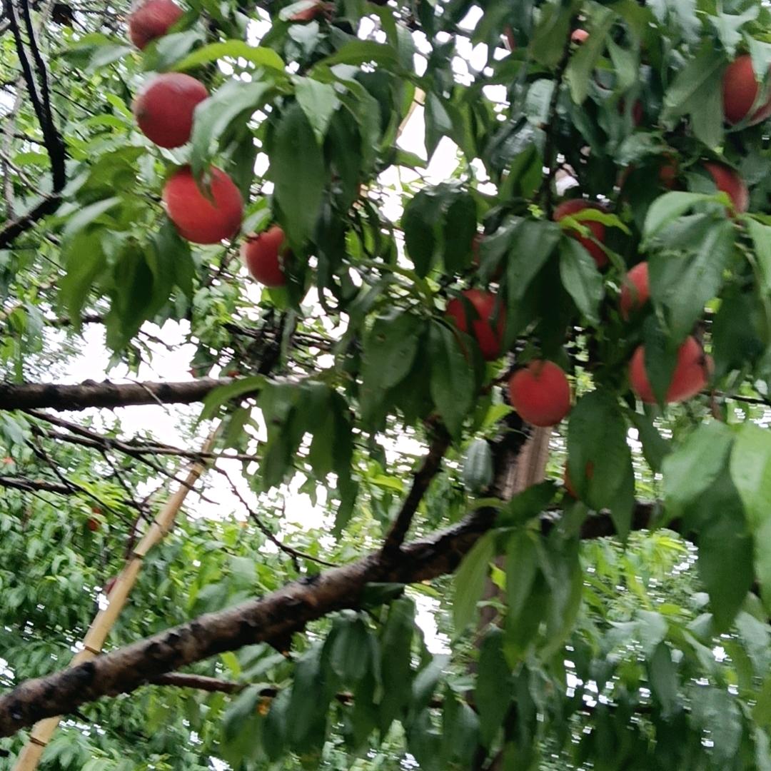 清零！！往事
