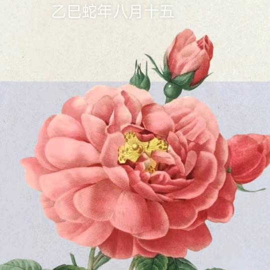 红苹果