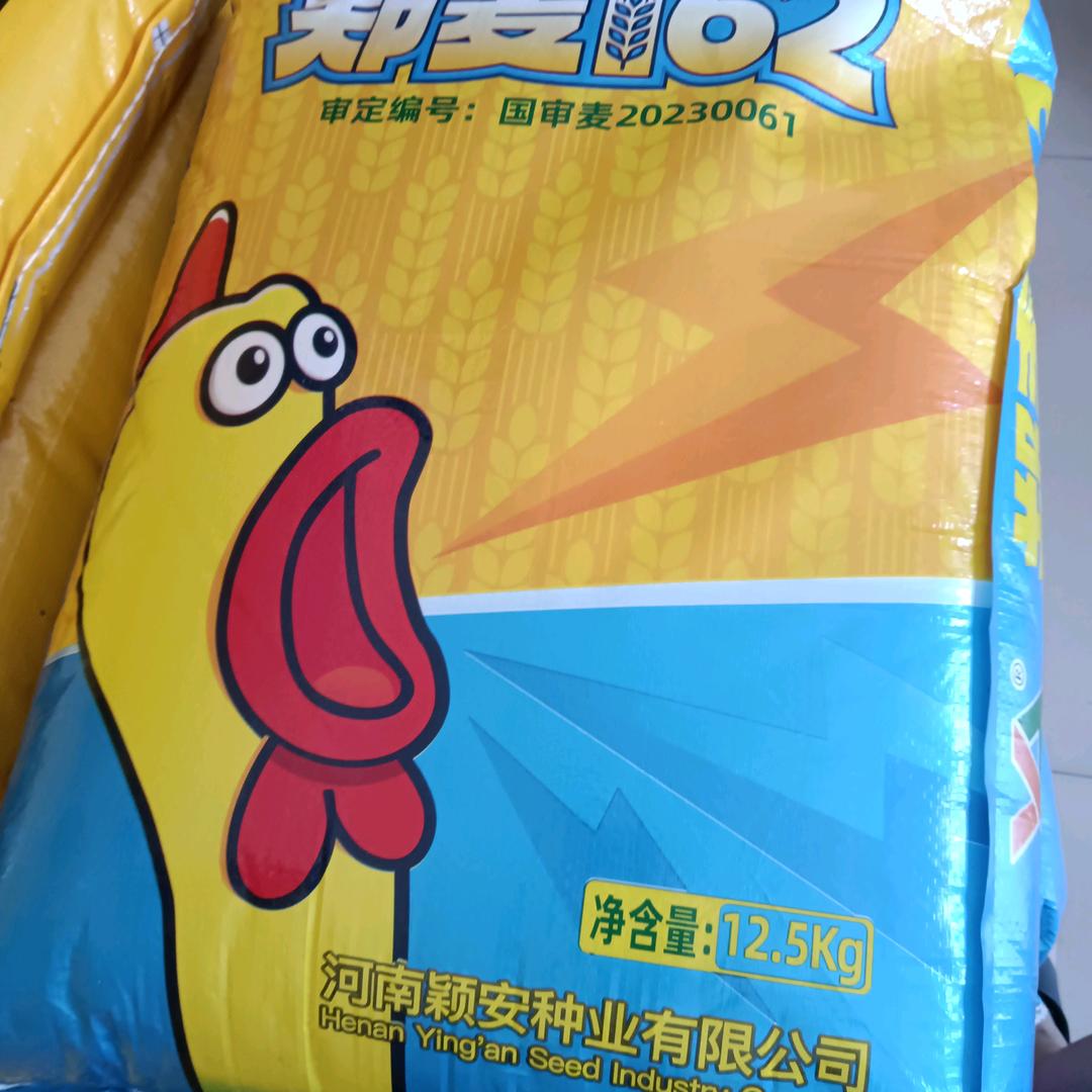 狼王