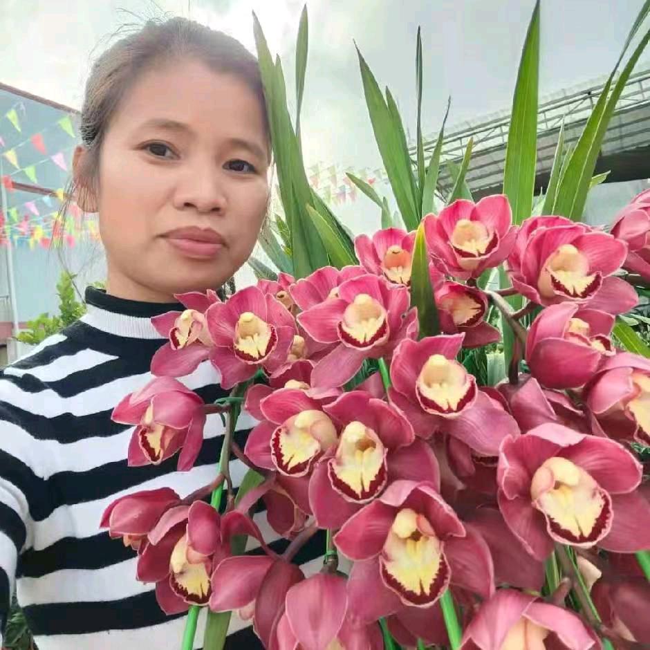 南宁市广卉花木场