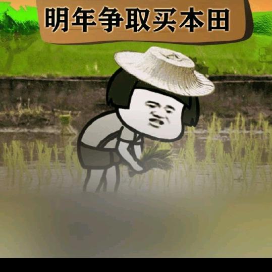 老农刀疤哥铁粉