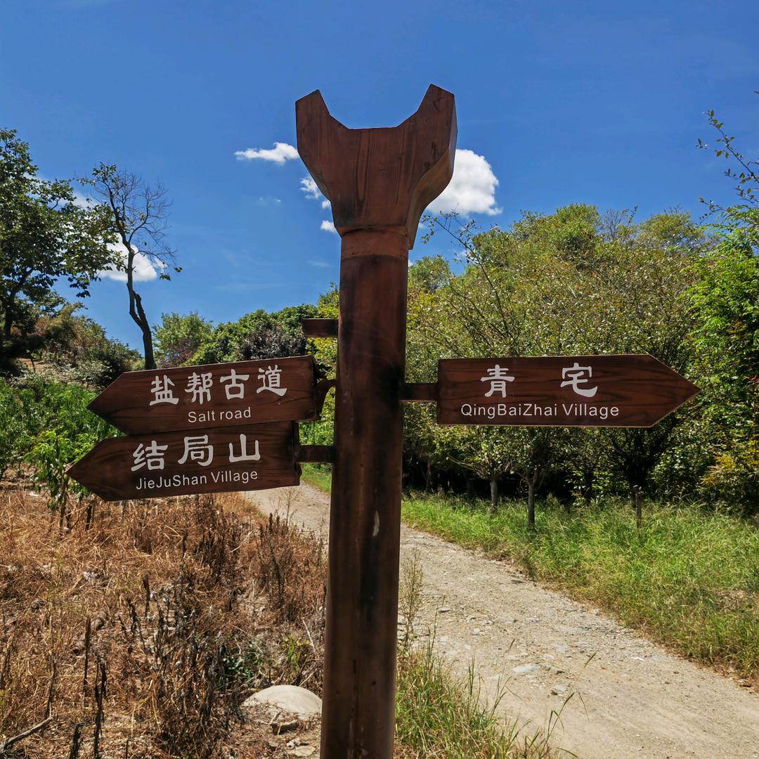 月光如浅梦