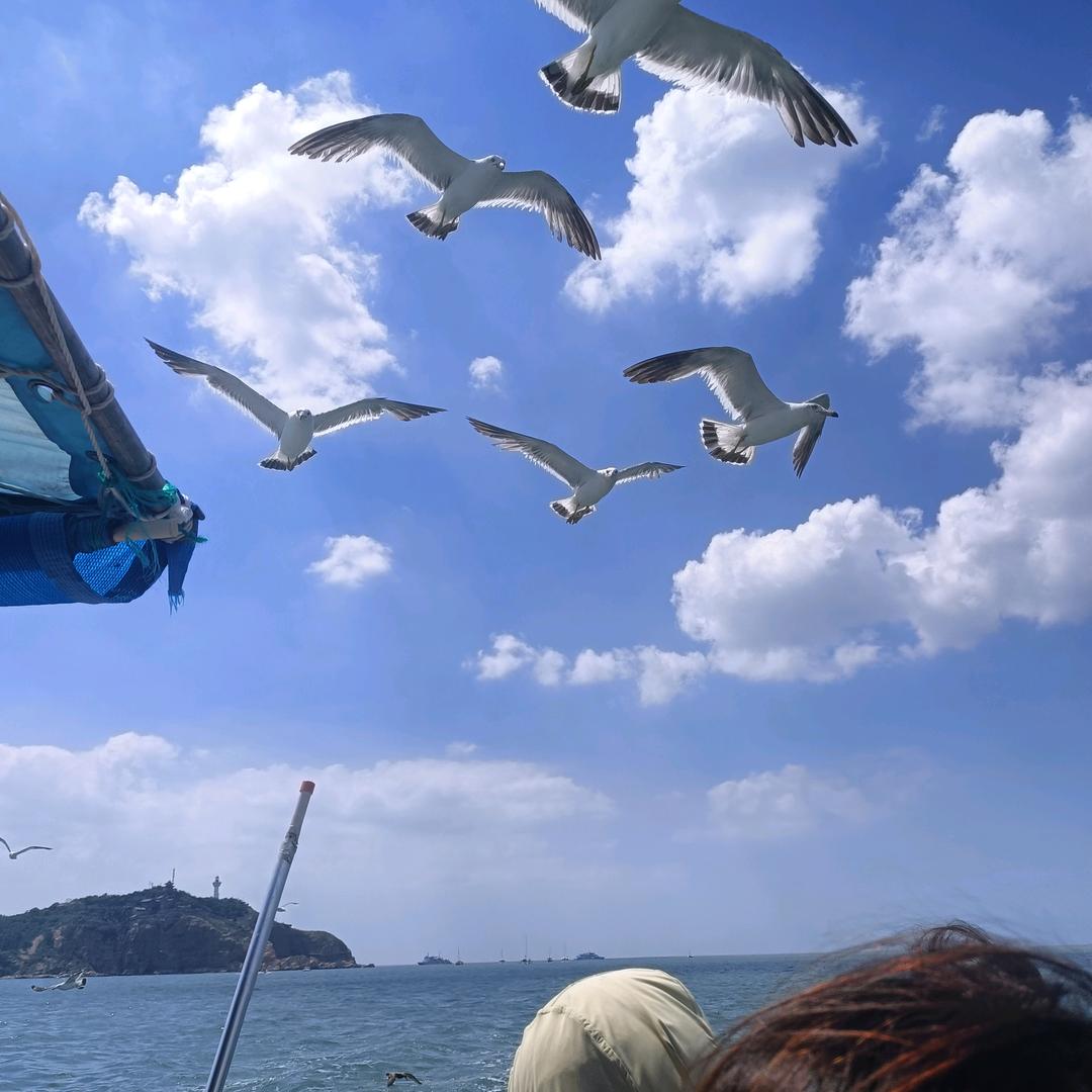 萌宝育婴师丽丽