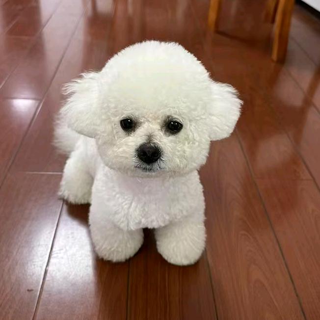 准度台球俱乐部