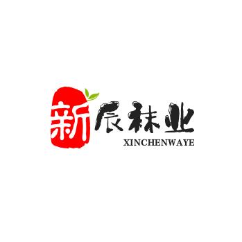 新辰袜业