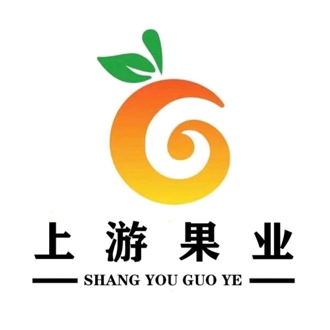 上游果业新疆生鲜水果供应链