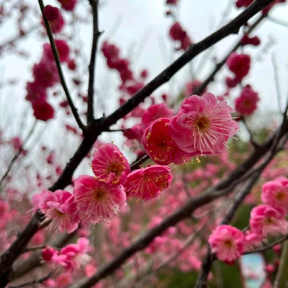 💞余生ᩚ安ᮨ໌້好࿐🦋