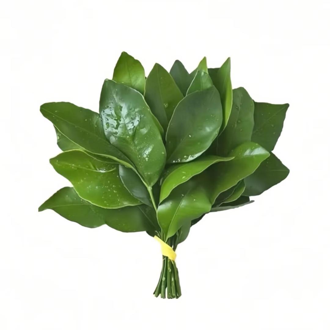 悲伤土豆