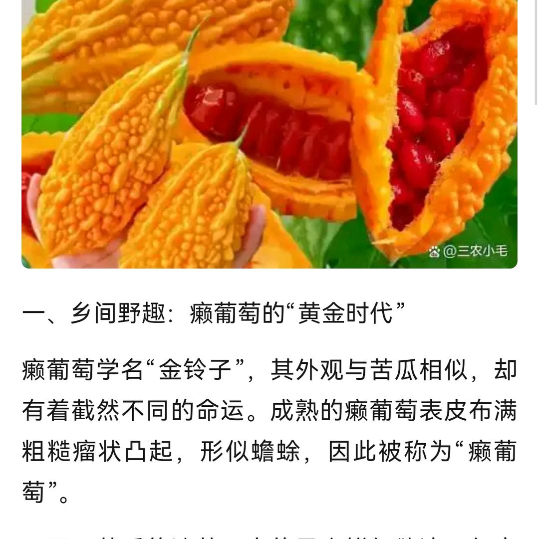 橙子🍊🍊