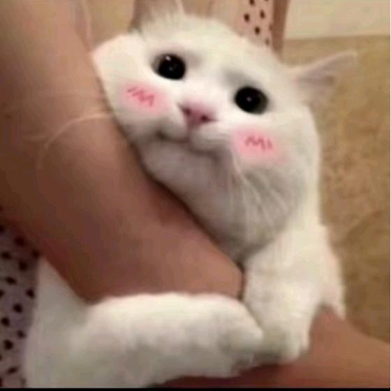 不吃早点