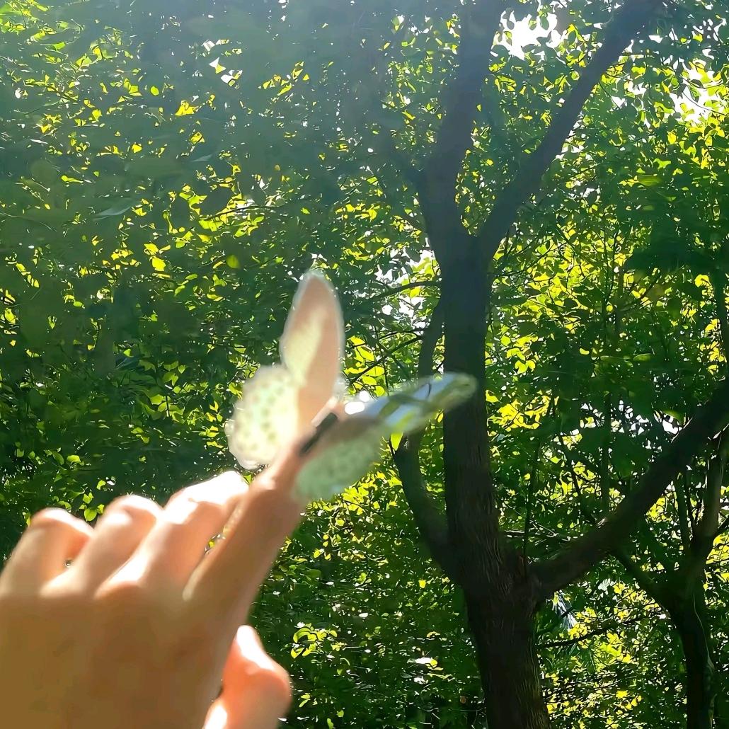 灼灼韶华🌸