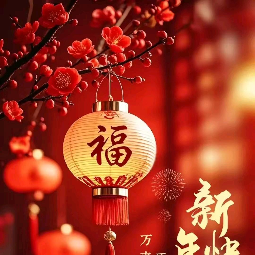 宁静的夏天哈