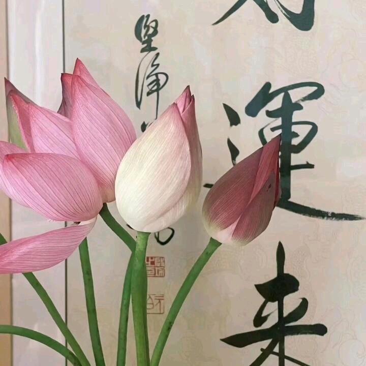 龙虎