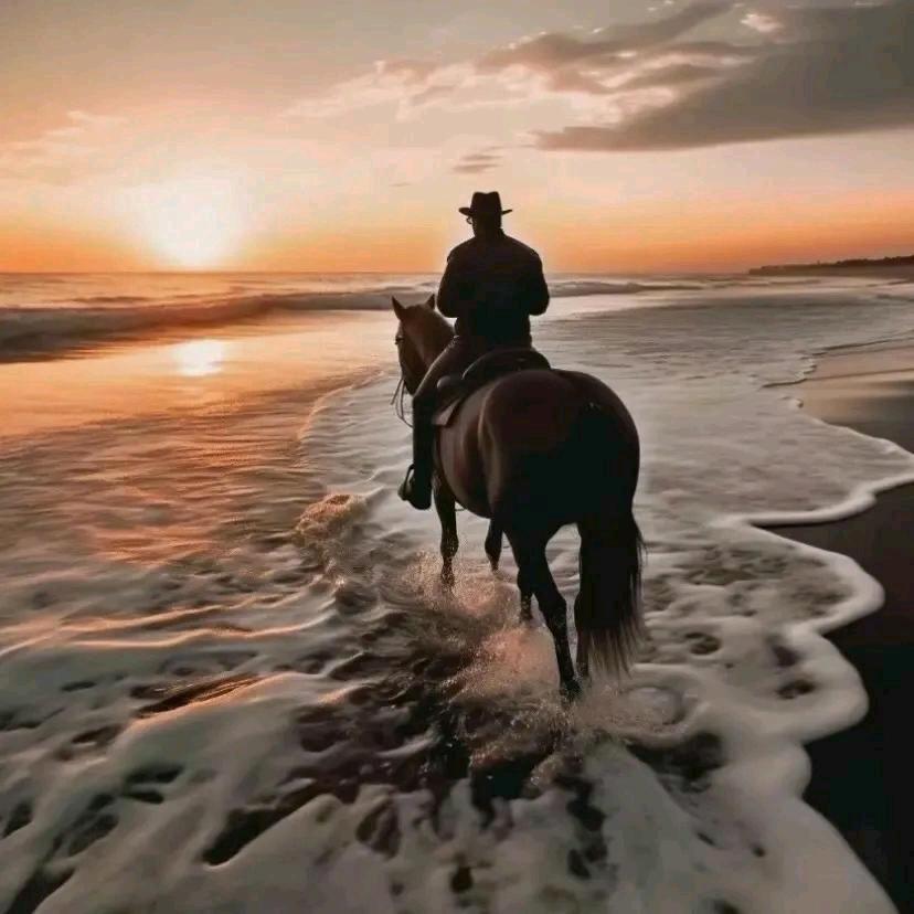 马背上的男孩🏇