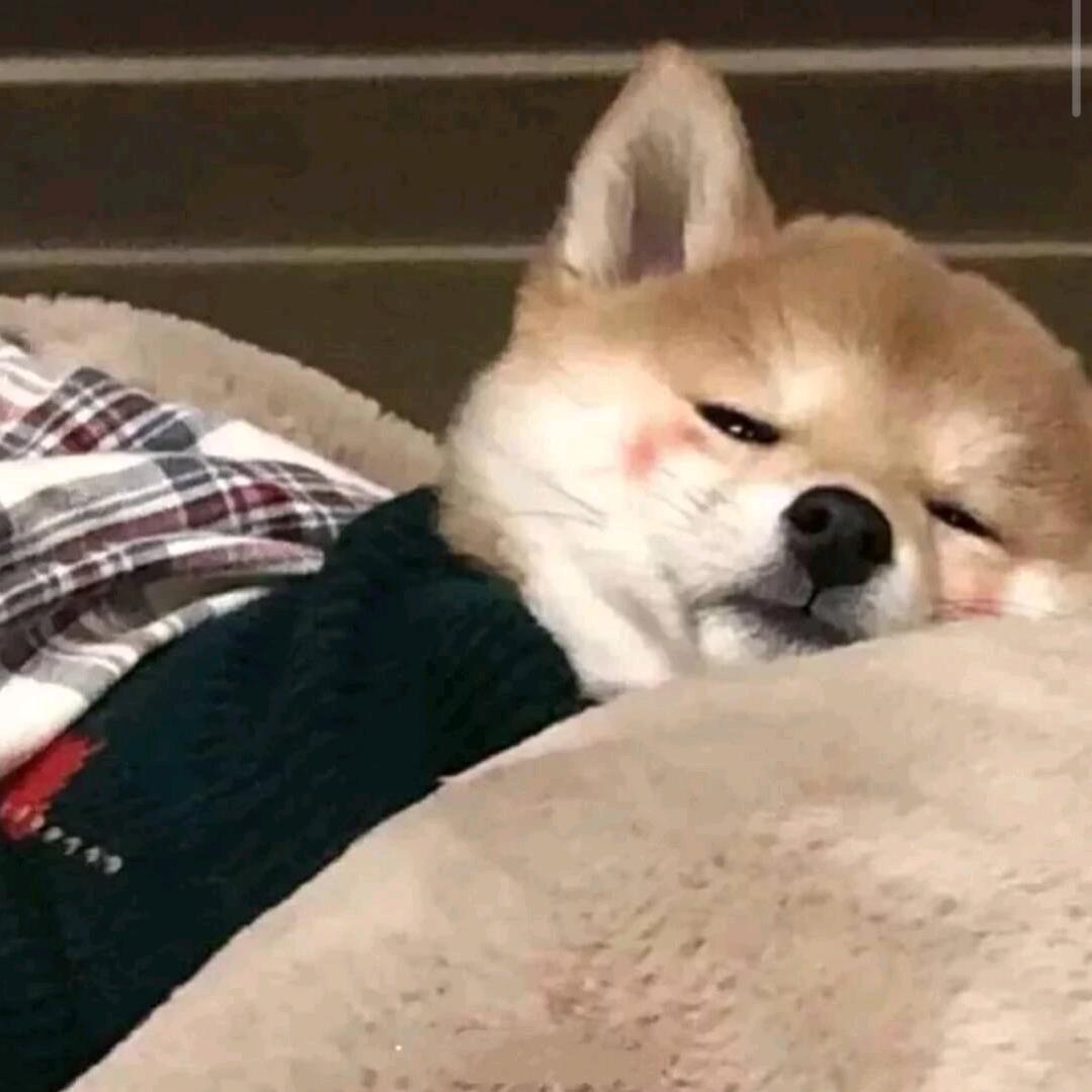宝sir