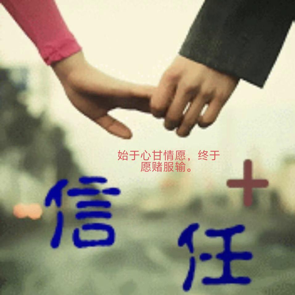 兰儿草