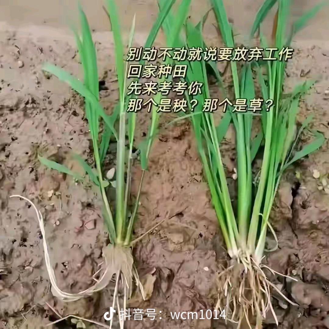 💕ꦿ᭄唐ఏꦿ༉ᩚ