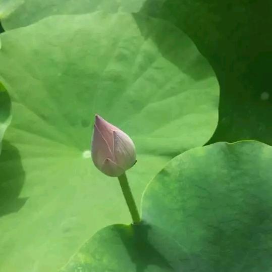 ꦿོ࿐最美遇໌້ᮨ꯭·见ꦿ·᭄࿐