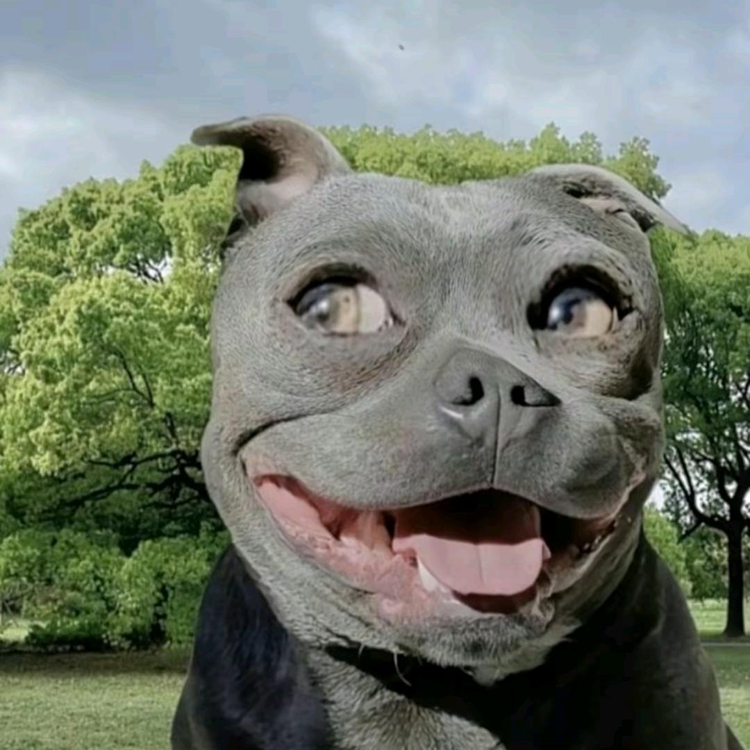 和田代办小岳___企业管理