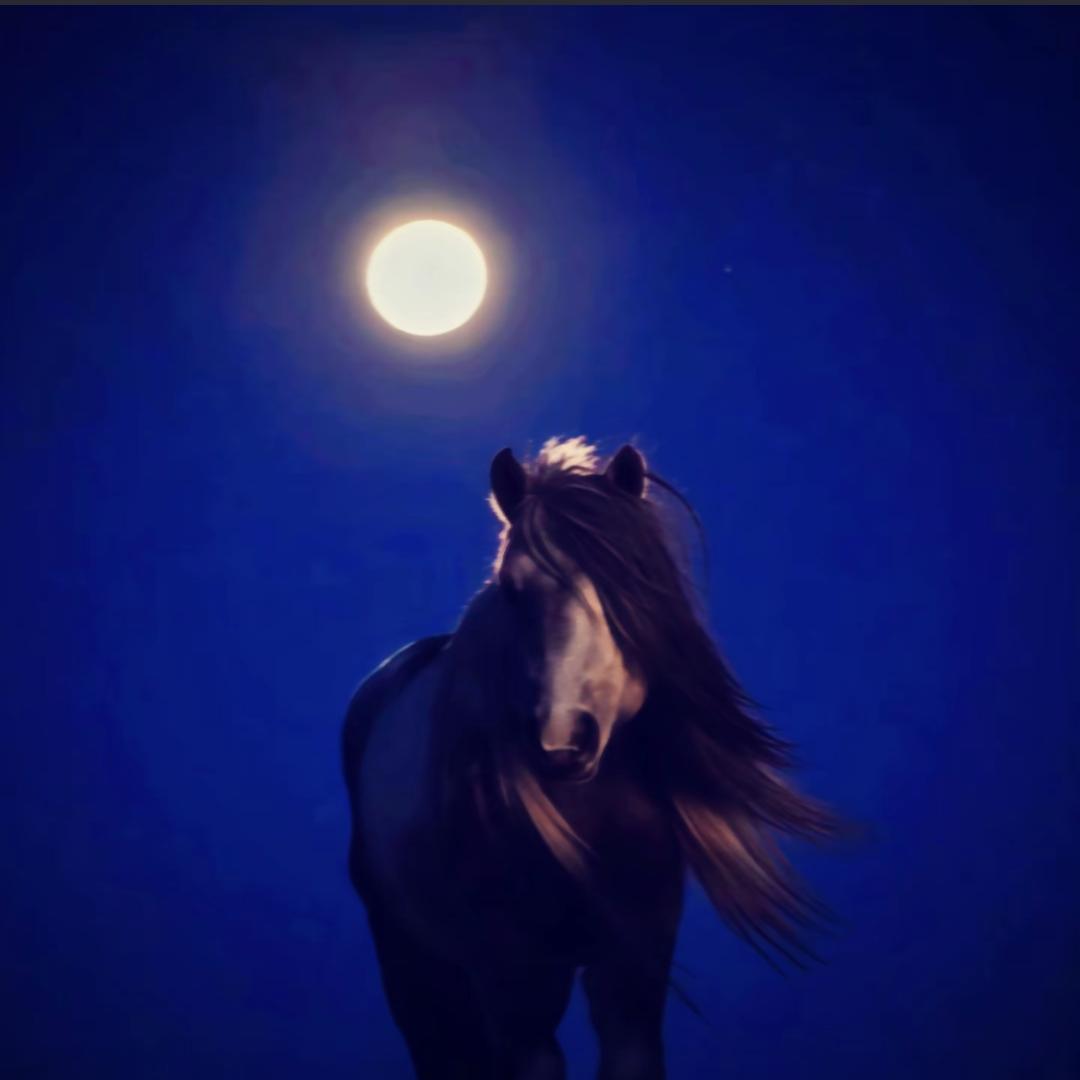 去码头吃点薯条🍟（自由版）