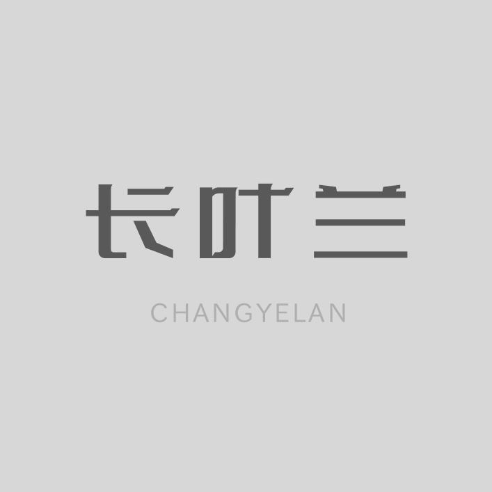 长叶兰深圳市昕芳新能源科技有限公司服饰专卖店