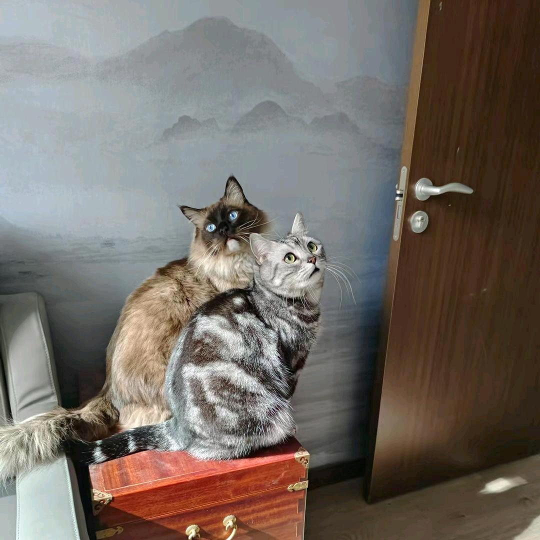 安安全全