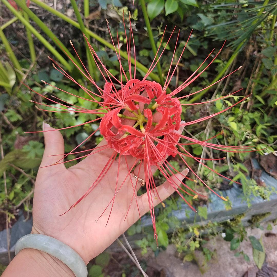 🦋ℒᎭℯ⃝婷💞࿐