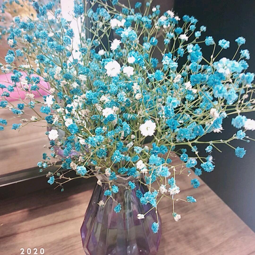 🍁枫源万叶🍁