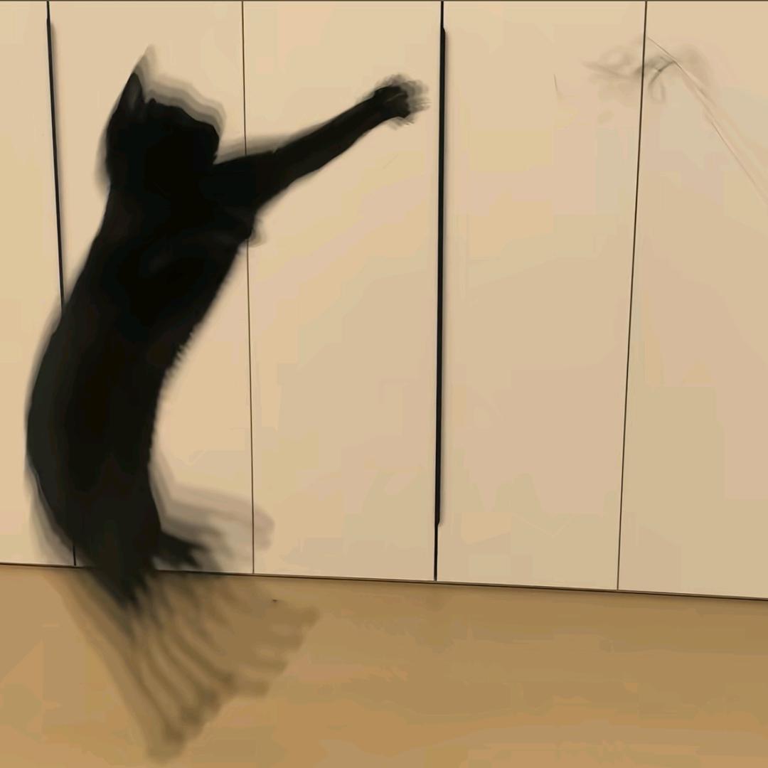 江户川