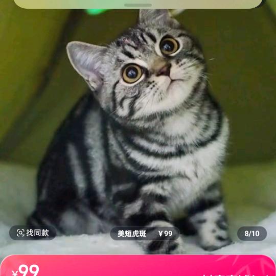 零0