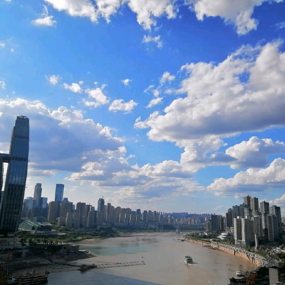 周之沁