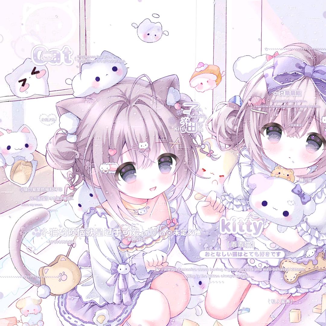 小猫（龙猫版）