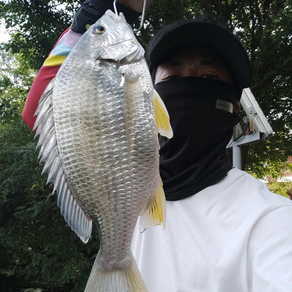 ☞呆♀呆の大男孩☞☆☆☆☆☆