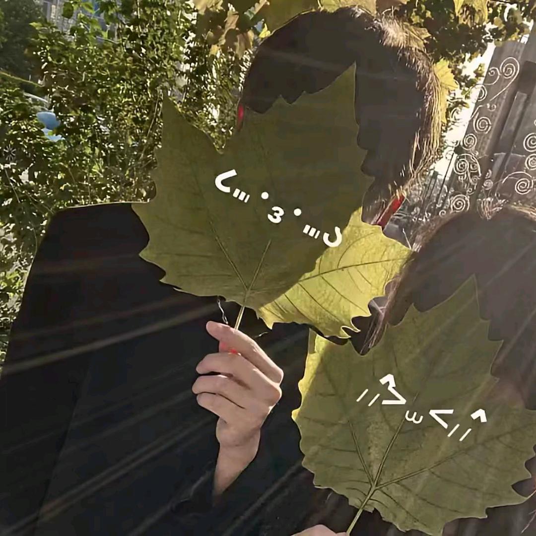 形