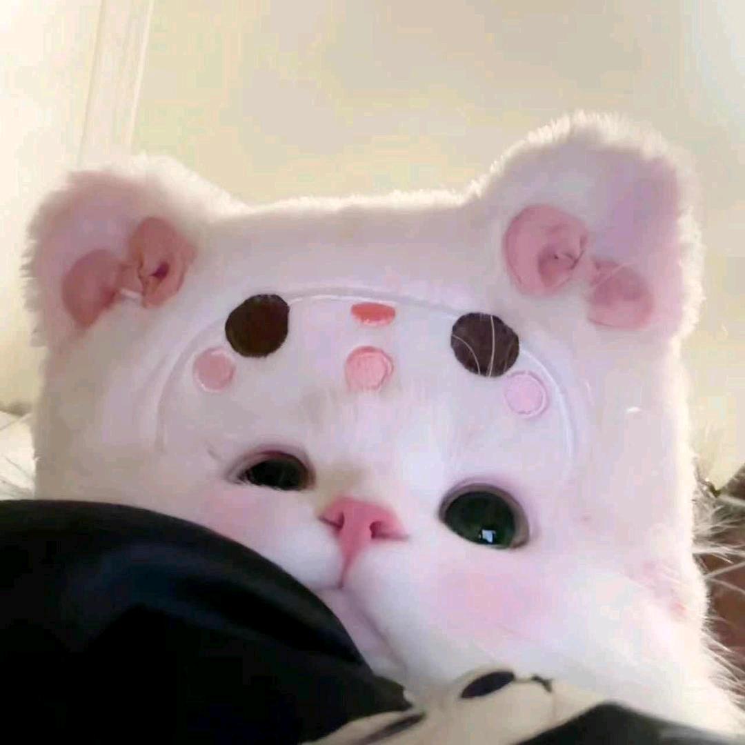 嘻嘻
